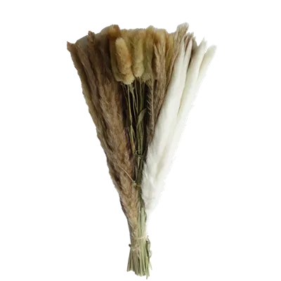 Ohranjena trava
